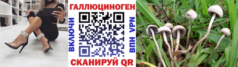 Псилоцибиновые грибы Cubensis хочу мега ССЫЛКА Нахабино