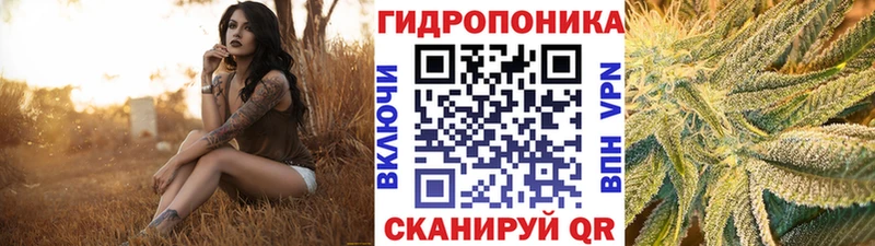 Каннабис OG Kush  Нахабино 